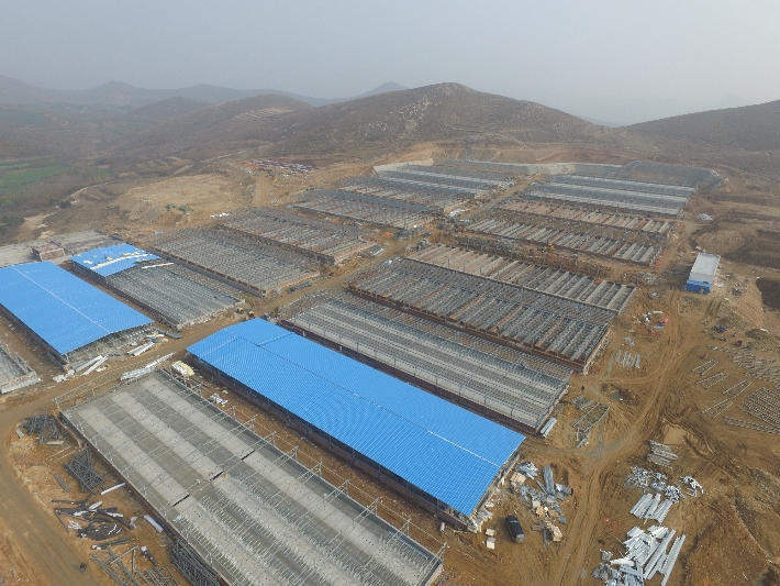 龙凤山农牧二期长龙山项目年出栏30万头生猪养殖基地(11月19日施工