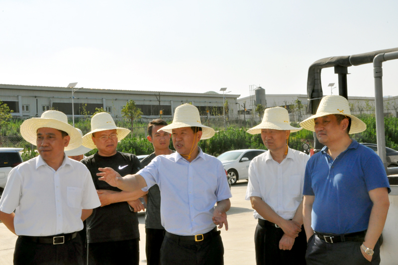 省畜牧局局长王承启一行莅临我司长龙山基地参观调研