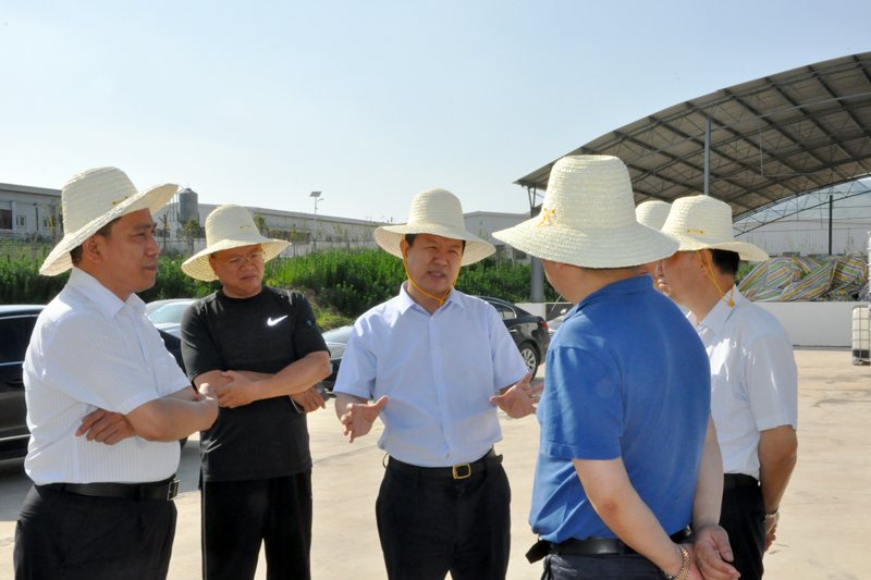 省畜牧局局长王承启一行莅临我司长龙山基地参观调研